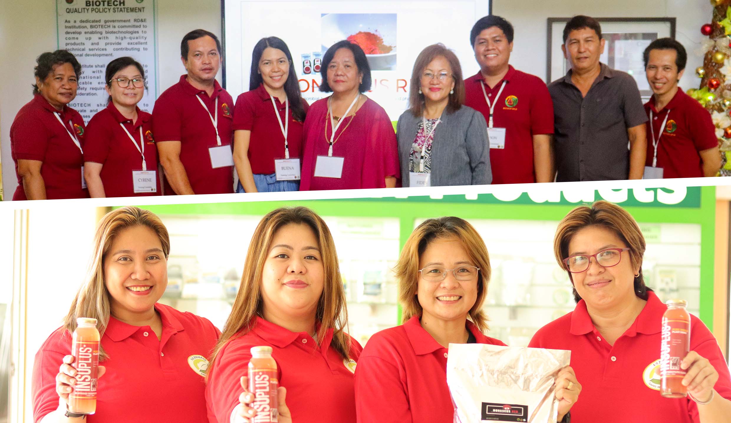 <strong>Insulin plant beverage gets boost from UPLB-BIOTECH’s MONASCUS red</strong>